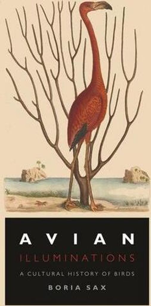 Avian Illuminations: A Cultural History of Birds