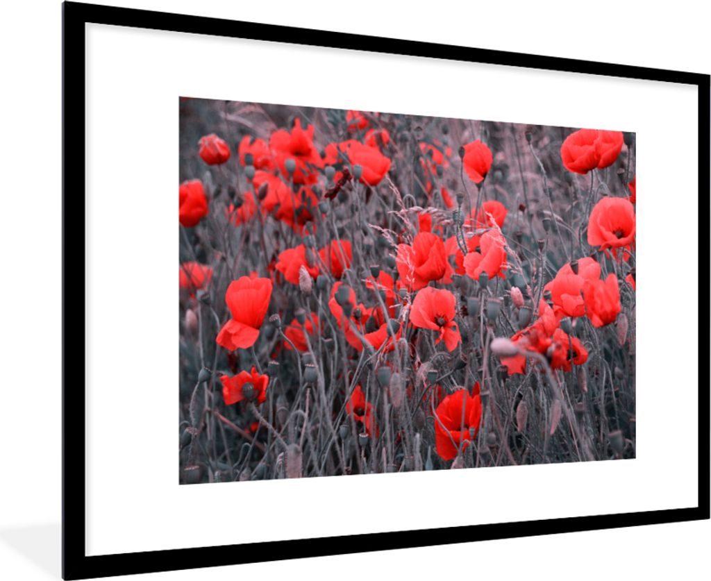 MuchoWow® Gerahmtes Poster Rote Mohnblumen in einem Produktbild 