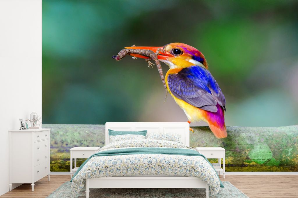 MuchoWow Fototapete für Wohnzimmer oder Schlafzimmer Wandtapete Vinyl Motivtapete Eisvogel - Eidechse - Äste - 450x300 cm - Gemusterte