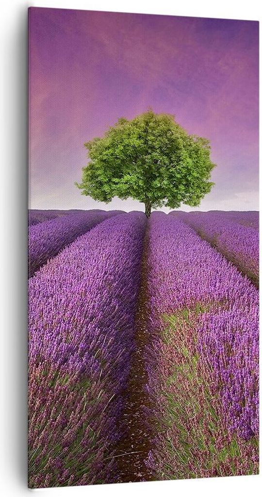 Bild auf Leinwand - Leinwandbild - Wiese lavenda Sommer Landschaft - 65x120cm - Wand Bild - Wanddeko - Leinwanddruck - Bilder - Kunstdruck - Leinwa...