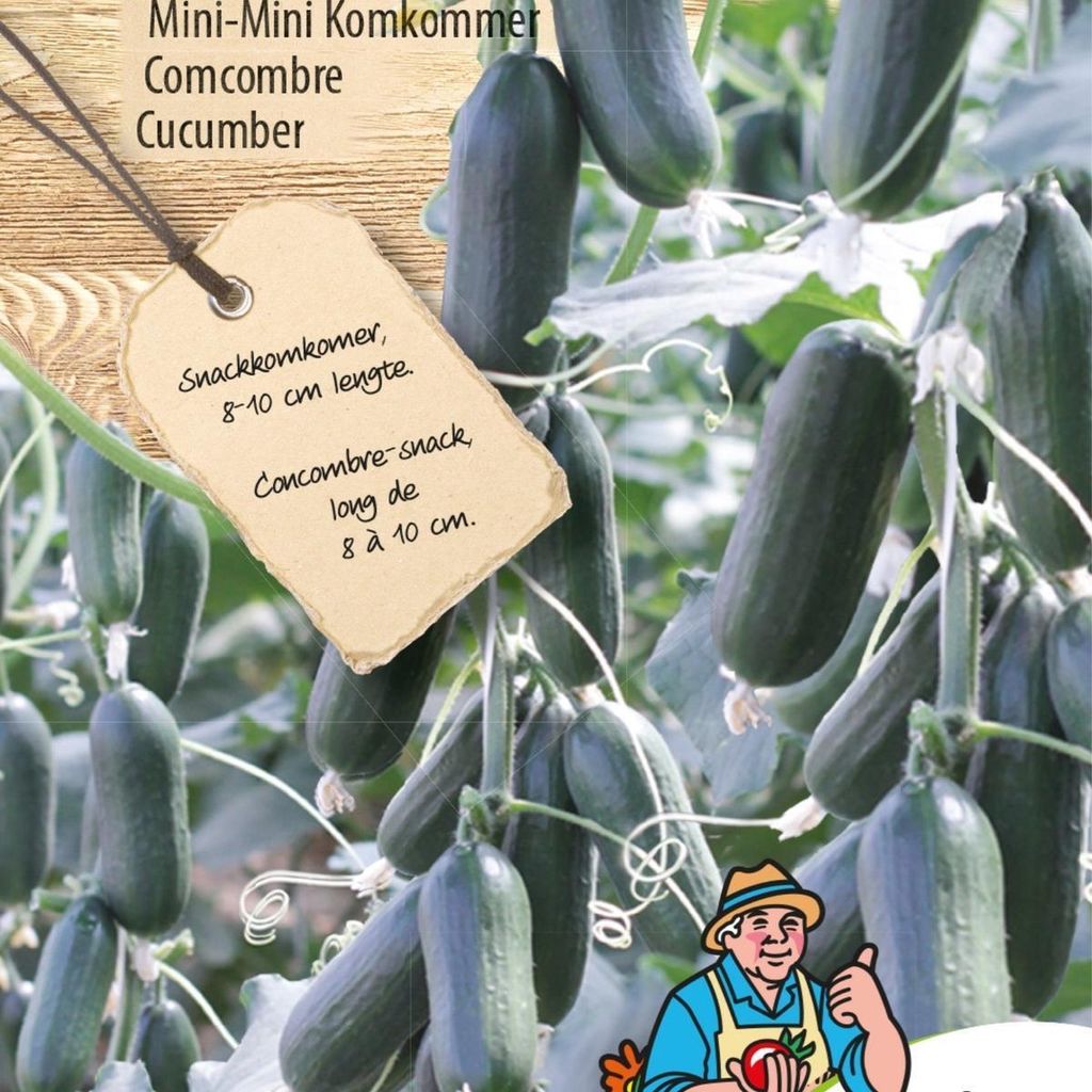 Hopeline F1 Mini-Mini-Gurkensamen – Züchten Sie kleine, knusprige Gurken – Hochwertige Samen für optimalen Ertrag und vielseitige Verwendung
