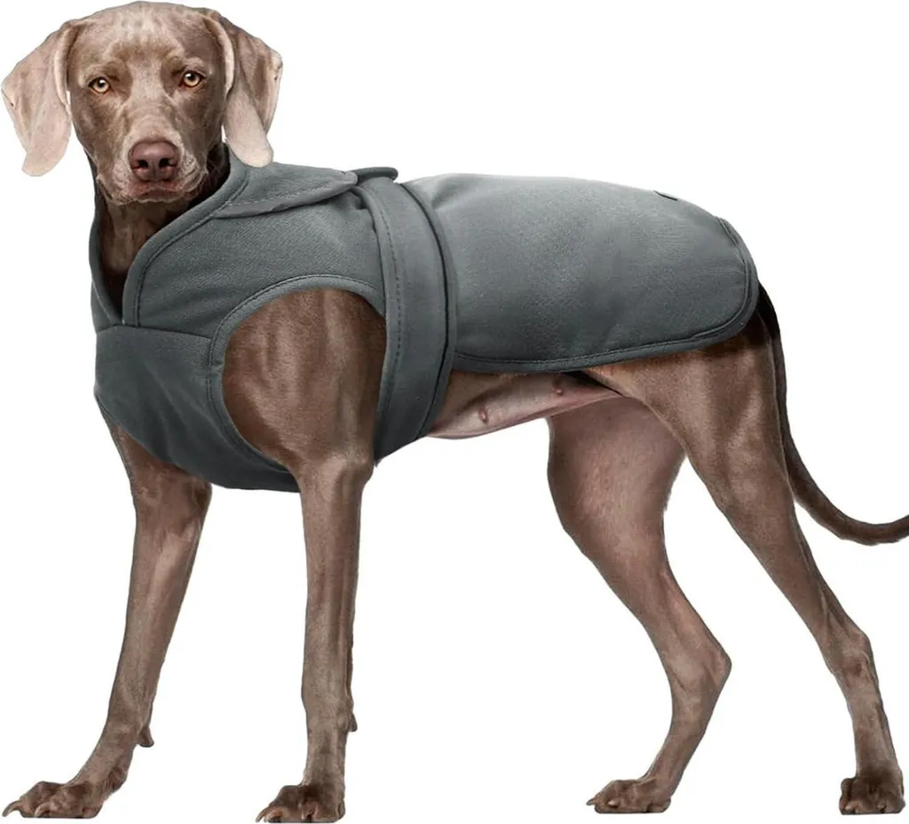 Kuoser Canvas Dog Coat Giacca Invernale per Cani | Caldo Pile Grigio