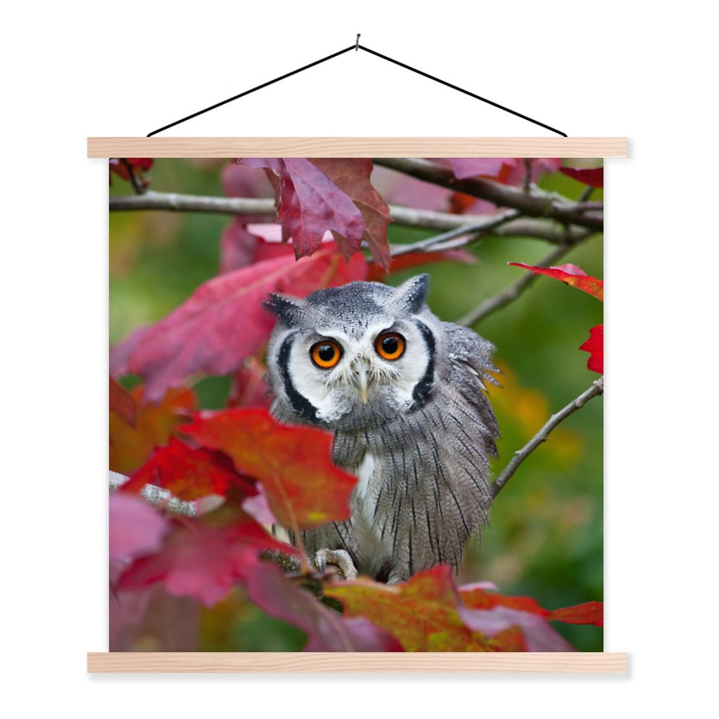 MuchoWow Textilposter Eule - Vogel - Laub - Herbst 120x120 cm mit holzfarbenen Rahmen - Textil-Poster