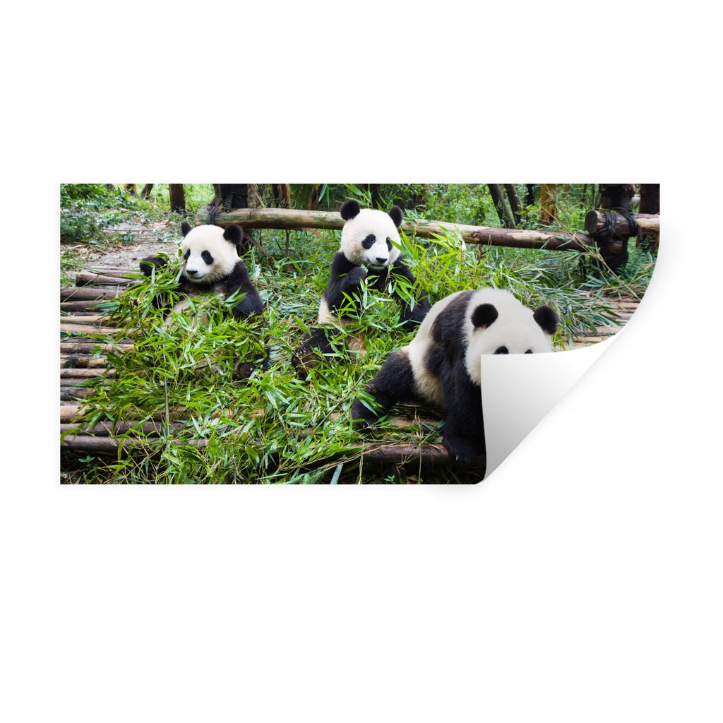 MuchoWow Wandtattoo Wandsticker Wandaufkleber Pandas - Bambus - Blätter 160x80 cm Selbstklebend und Repositionierbar - Sticker - Dekorfolie