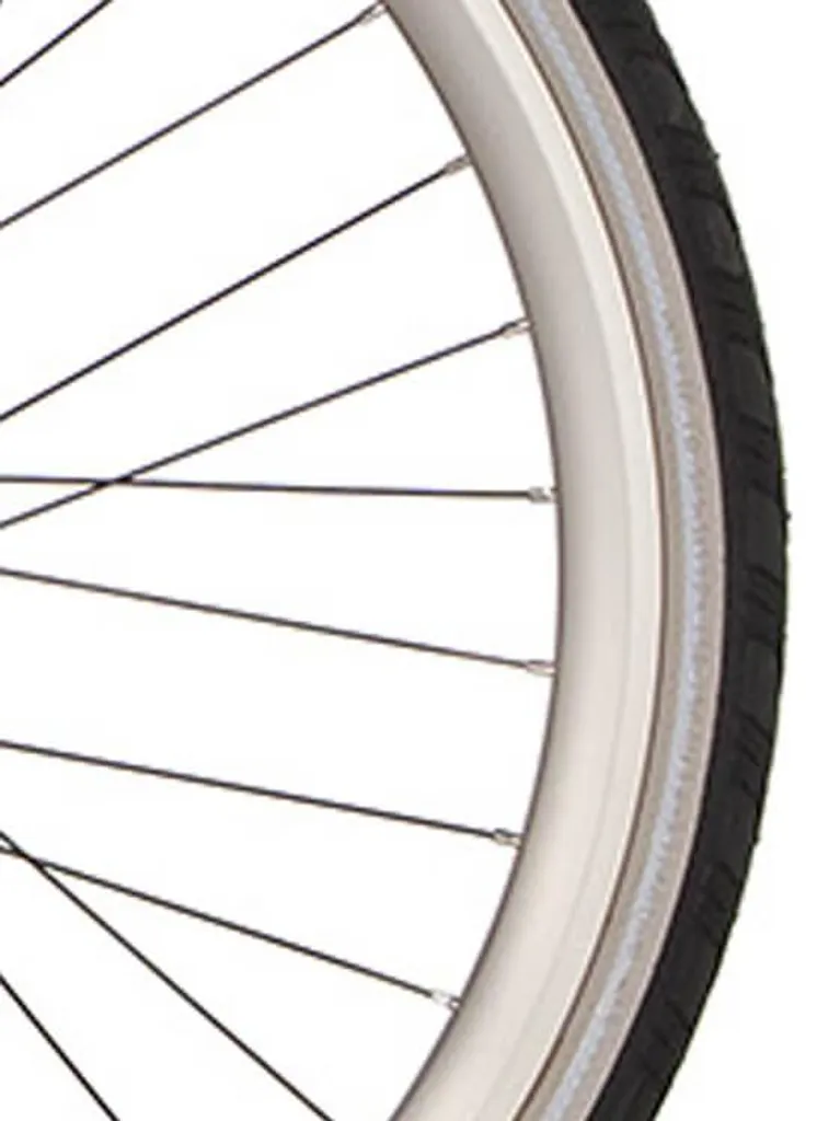 Cortina J19DC Matt Double - Jante Renforcée pour Vélo de Ville Holandais