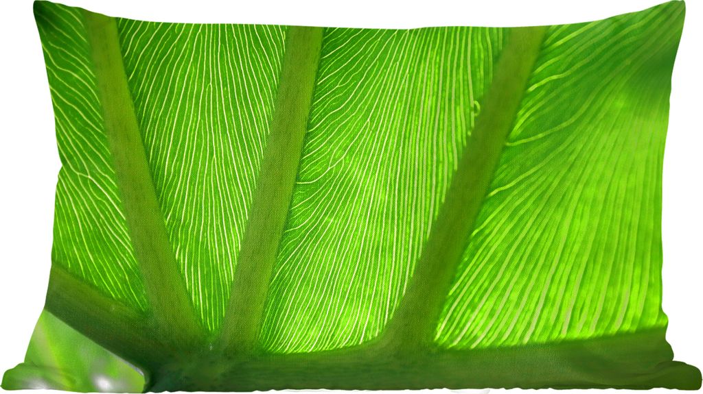 MuchoWow Zierkissen Sofakissen Wohnzimmer Dekokissen 50x30 cm Großes Blatt mit Adern - Wohnzimmerdekoration - Polster mit Photo