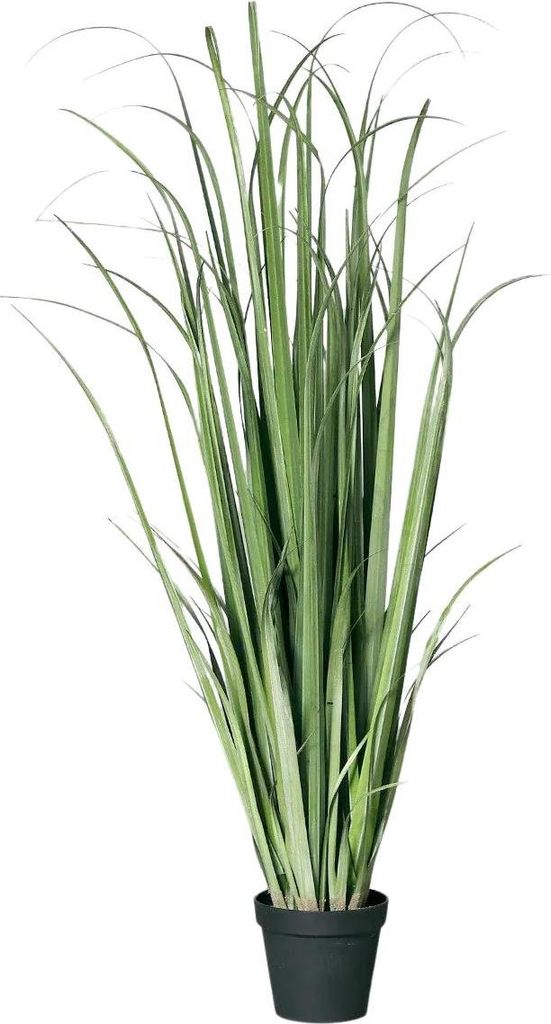 aplanta Künstliches Schilfgras im Topf - Vittoria | 180 cm, für drinnen, Kunstpflanze, wie echt, Allergiker geeignet, pflanzliche Dekoration Prax...