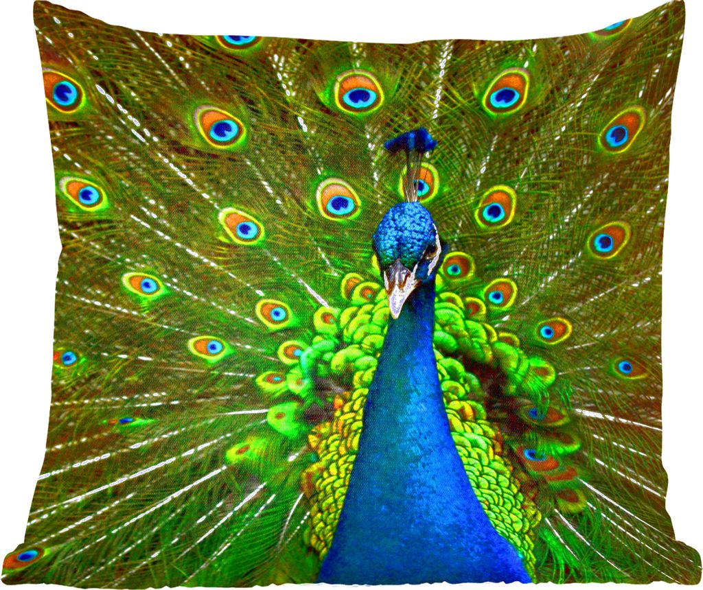 MuchoWow Zierkissen Sofakissen Wohnzimmer Dekokissen 60x60 cm Pfau - Federn - Muster - Blau - Sitzfläche - Foto Polster