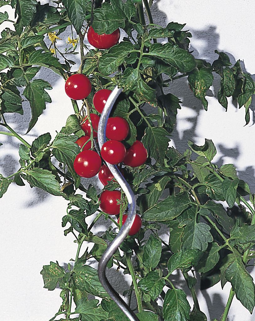 WINDHAGER Tomaten-Spiralstab verzinkt 180cm 05637 Produktbild 
