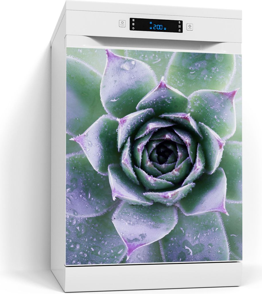 DEQORI Magnetmatte Spülmaschine beschreibbar 60x70 cm 'Taufrische Symmetrie' Magnetfolie