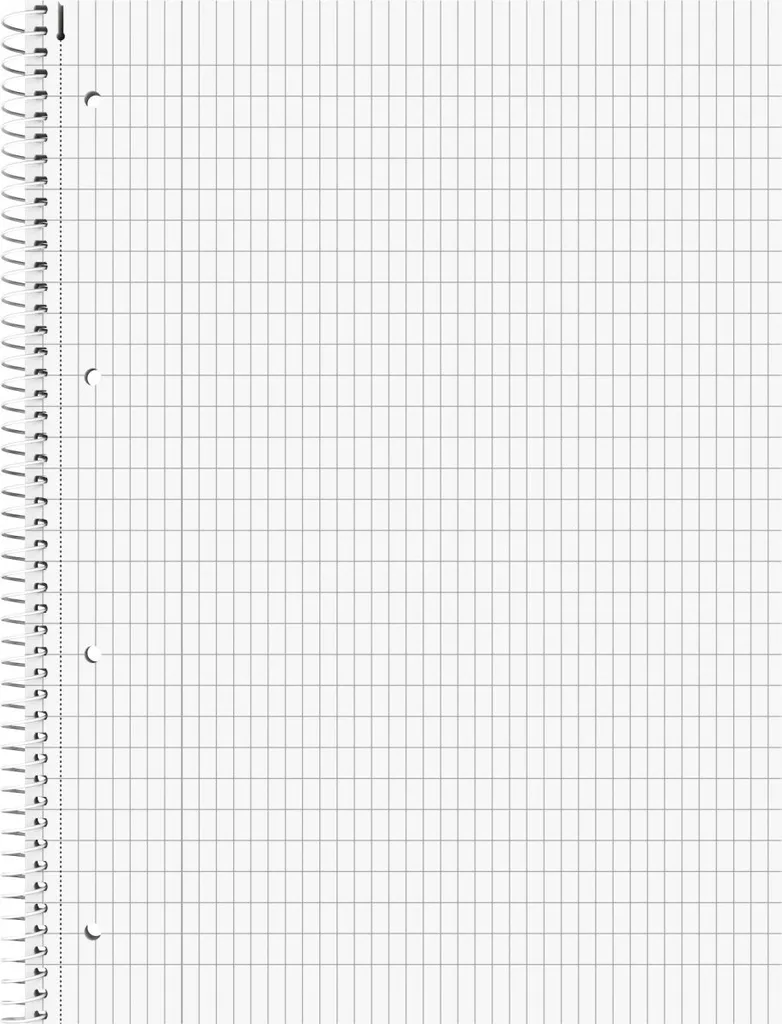 Brunnen 1067943 Lot de 5 blocs de cours A4 quadrillés 5x5 80 feuilles - 2