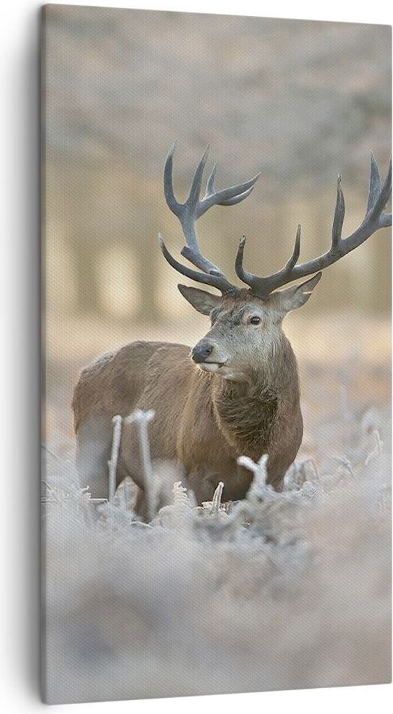 Bild auf Leinwand - Leinwandbild - Hirsch Wald Natur - 45x80cm - Wand Bild - Wanddeko - Wandbilder - Leinwanddruck - Bilder - Kunstdruck - Wanddeko...