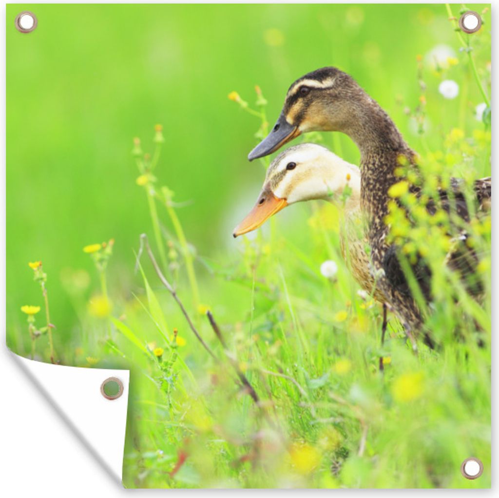 MuchoWow 50x50 cm Outdoor-Poster Gartendeko Sichtschutz Garten Poster für den Garten Enten - Blumen - Pflanzen - Frühling
