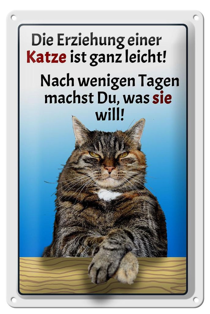 Blechschild Spruch 20x30cm die Erziehung einer Katze leicht