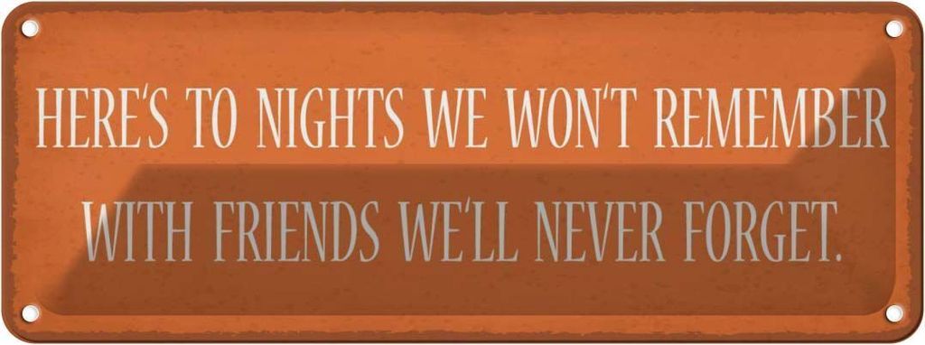 vianmo Blechschild 10x27 cm to nights we won`t remember with Spruch Zitat