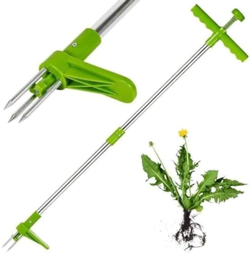 Extracteur de racines manuel en acier pour jardinage écologique - Vert