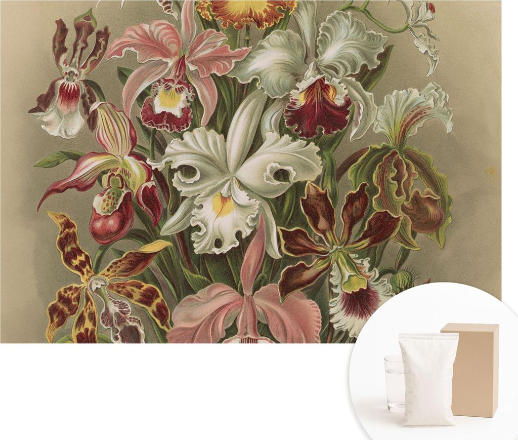 Fototapete - Wandbilder für Wohnzimmer - 152x104 cm - Dekorative Wandfolie - Modernes Design für Wanddekoration - Tapeten für Innenräume - Flor...