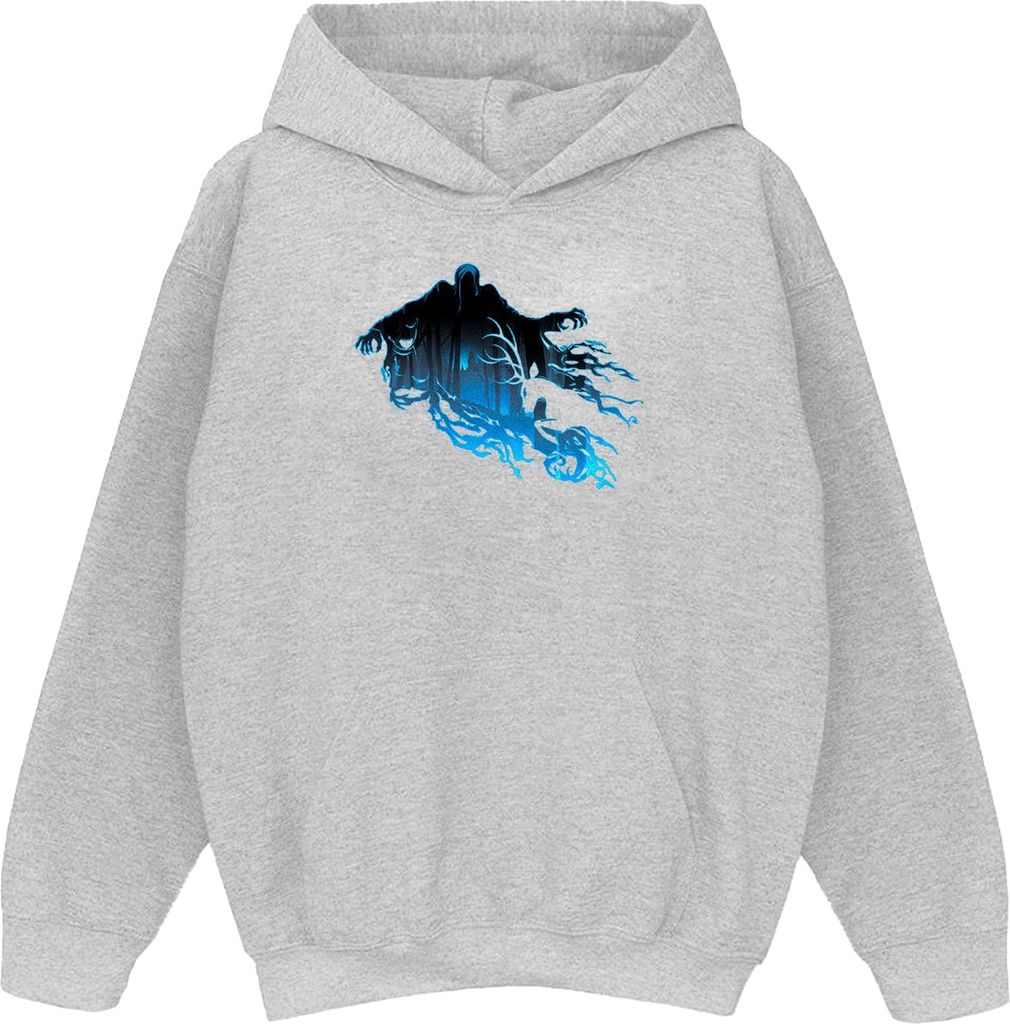 Harry Potter - Kapuzenpullover für Jungen BI7606 (152-158) (Grau)