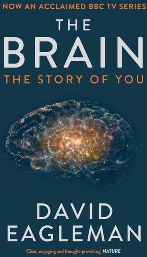 The Brain