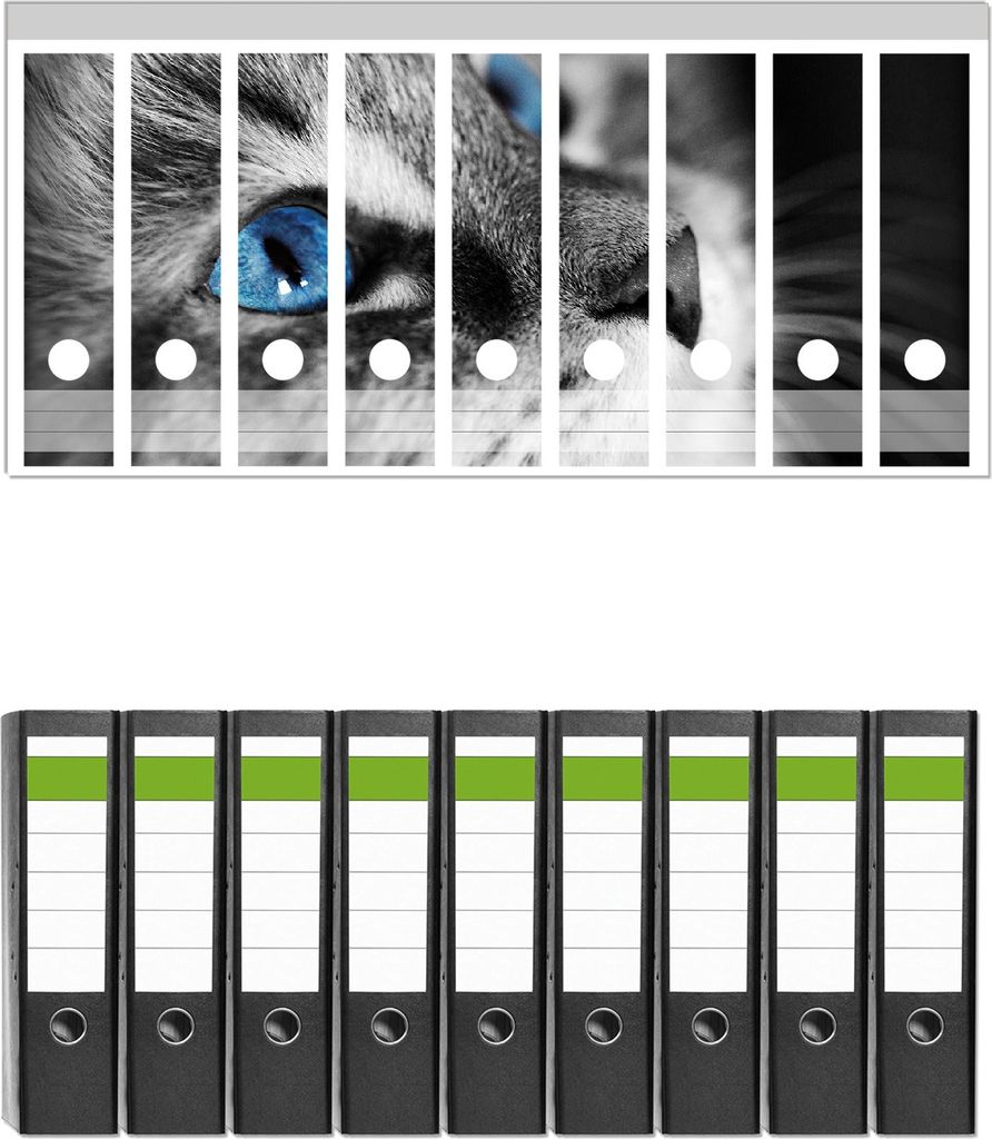 Wallario 9 Stück breite Ordner inkl. Klebeetiketten mit Motive Schwarz-weiß getigerte Katze mit leuchtend blauen Augen - Set mit Rückenschilder...