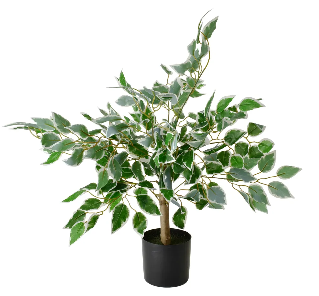 Décoration végétale d'intérieur Ficus artificiel 65cm sans entretien