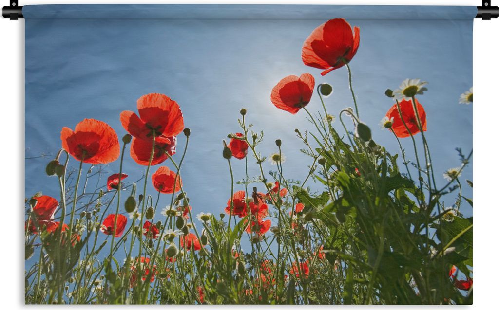 MuchoWow Wandteppich Wandbehang Strahlende Sonne über einigen Mohnblumen in Spanien 60x40 cm Tapisserie Dekoration Wandtuch - Wanddekorationen