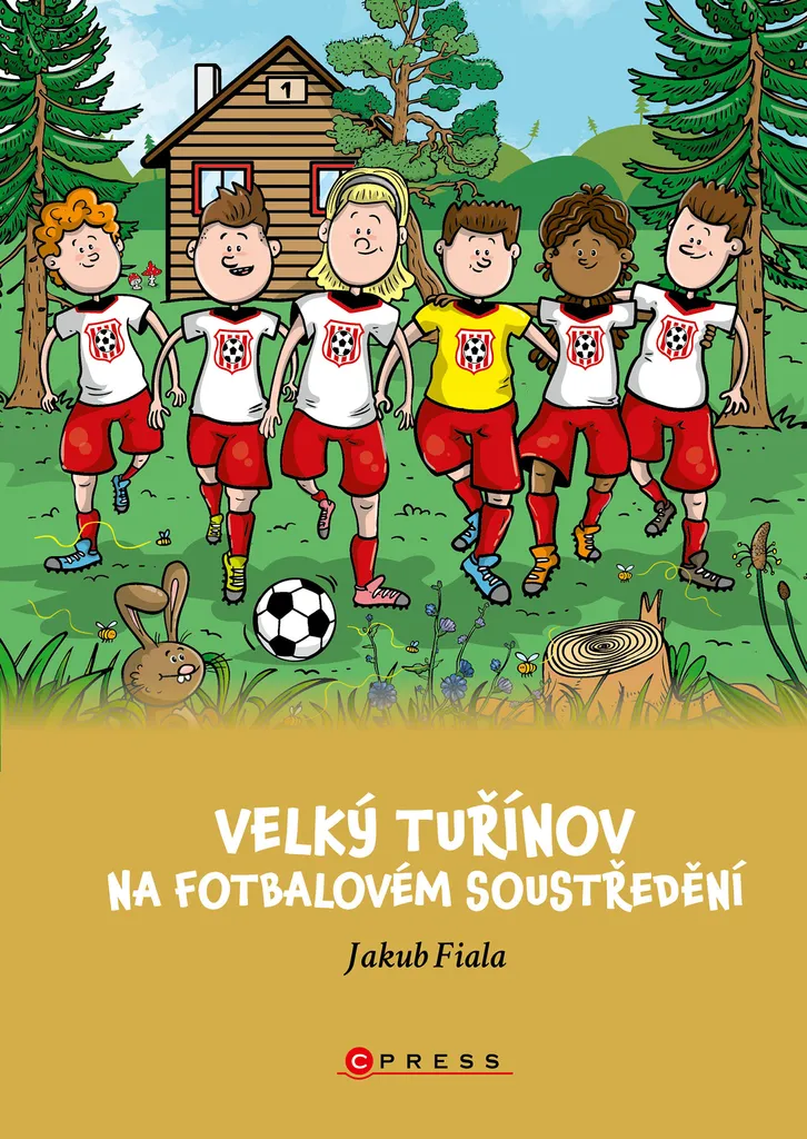 Livre de football pour enfant Velký Tuřínov par Jakub Fiala Illustré