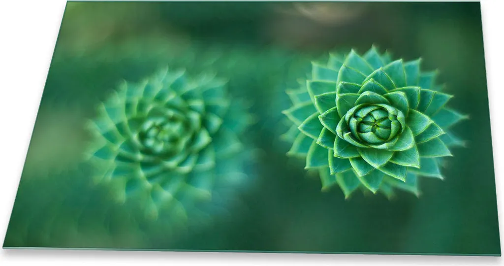 Copri Piano Cottura 80x52 in Vetro Verde - Atmosfera Naturale in Cucina