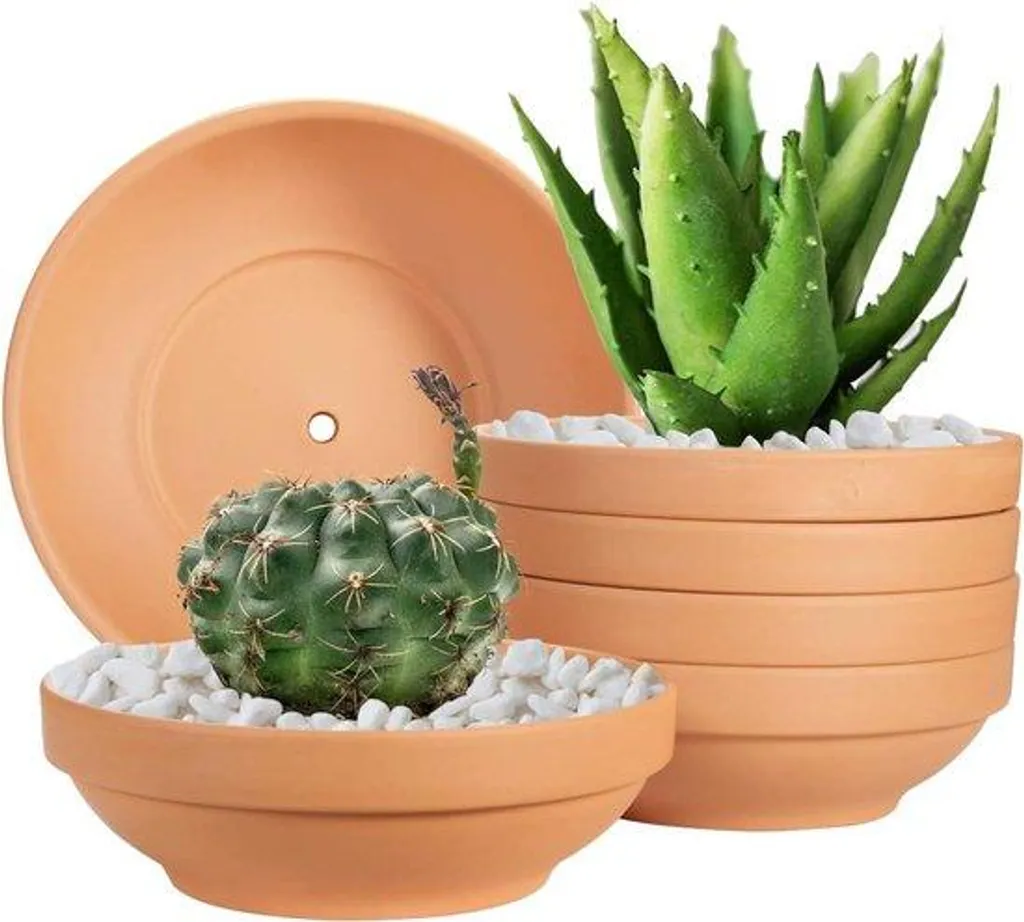 Pots Plats Laergin en Argile Naturelle - Set de 6 avec Trou de Drainage