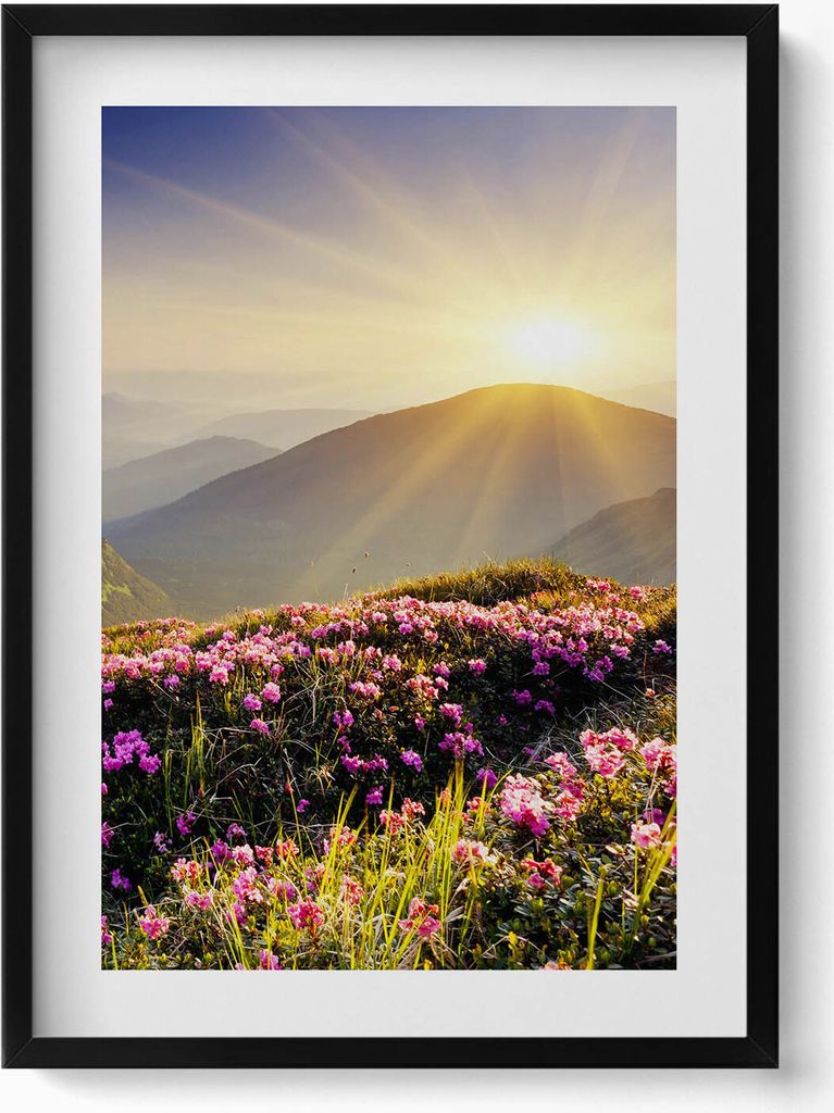 Berge und eine Blumenwiese– Wandbild mit Rahmen – Gerahmtes Bild – Wanddekoration – 50x70 cm – Schwarz Rahmen