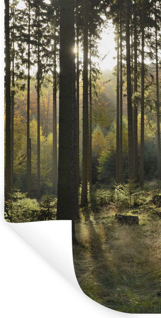 MuchoWow Wandtattoo Wandsticker Wandaufkleber Wald - Sommer - Sonne 80x160 cm Selbstklebend und Repositionierbar - Sticker - Dekorfolie