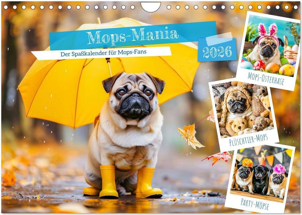 Mops-Mania - Der Spaßkalender für Mops-Fans (Wandkalender 2026 DIN A4 quer), CALVENDO Monatskalender