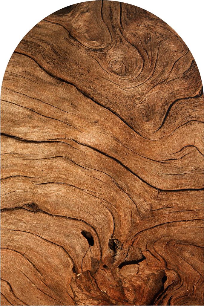 DEQORI Fototapete Rundbogen 120x180 cm 'Detaillierte Holzmaserung' Wand Tapete Sticker