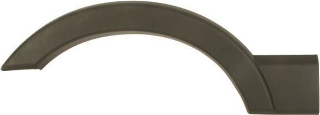 BLIC Seitenschutzleiste hinten links 5703-06-6089573PP für RENAULT MASTER III Kasten (FV) MASTER III Pritsche/Fahrgestell (EV, HV, UV) MASTER III Bus