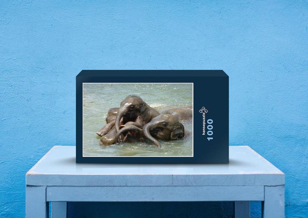 hansepuzzle 87228 - Elefanten Puzzle, 1000 Teile, Tierwelt, 60,0 x 46,0cm mit hochwertiger Aufbewahrung, Kartonbox und wiederverschließbarem Beutel