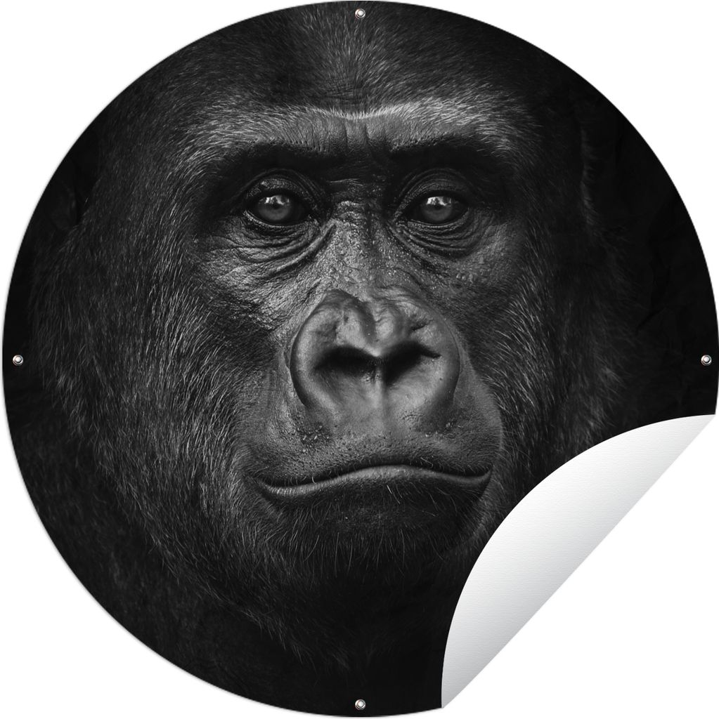 MuchoWow Gartenposter Outdoor-Poster Rund Gorilla - Schwarz - Weiß - Tiere - Porträt Ø 120 cm Gartendeko Rundes Poster draußen