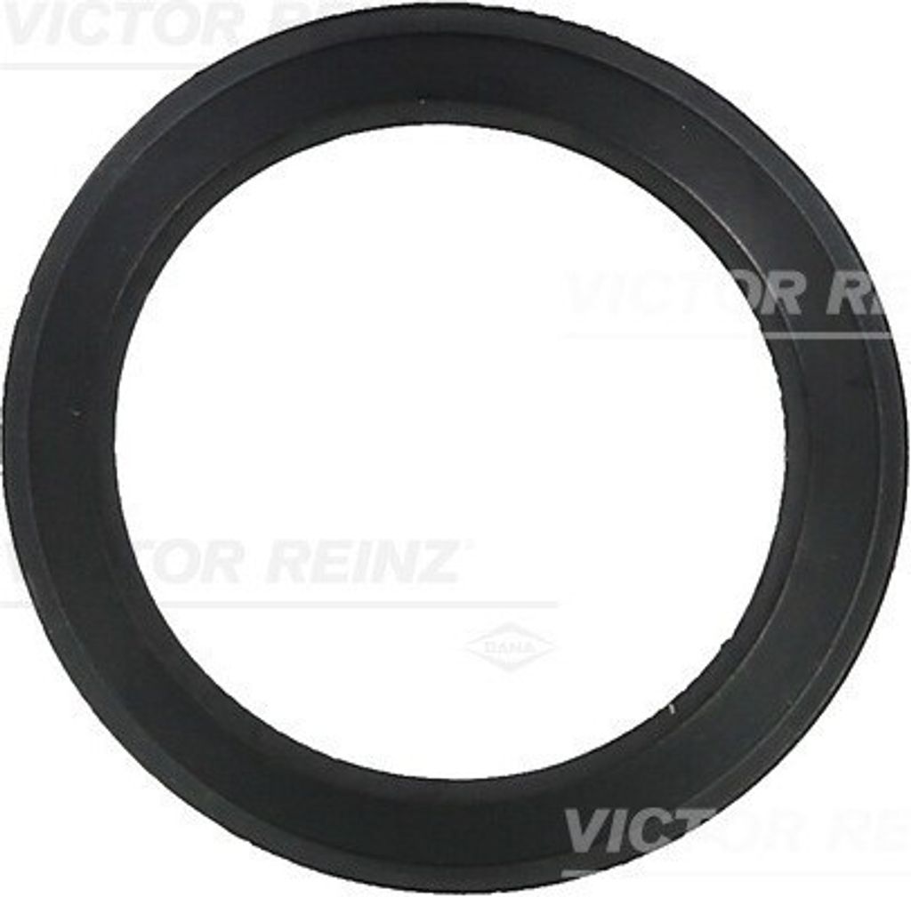 REINZ 71-36061-00 Dichtung Ansaugbrücke für VW Golf IV Schrägheck (1J1) GOLF VI (5K1) Golf V Schrägheck (1K1) TOURAN (1T1, 1T2) Passat Variant ...