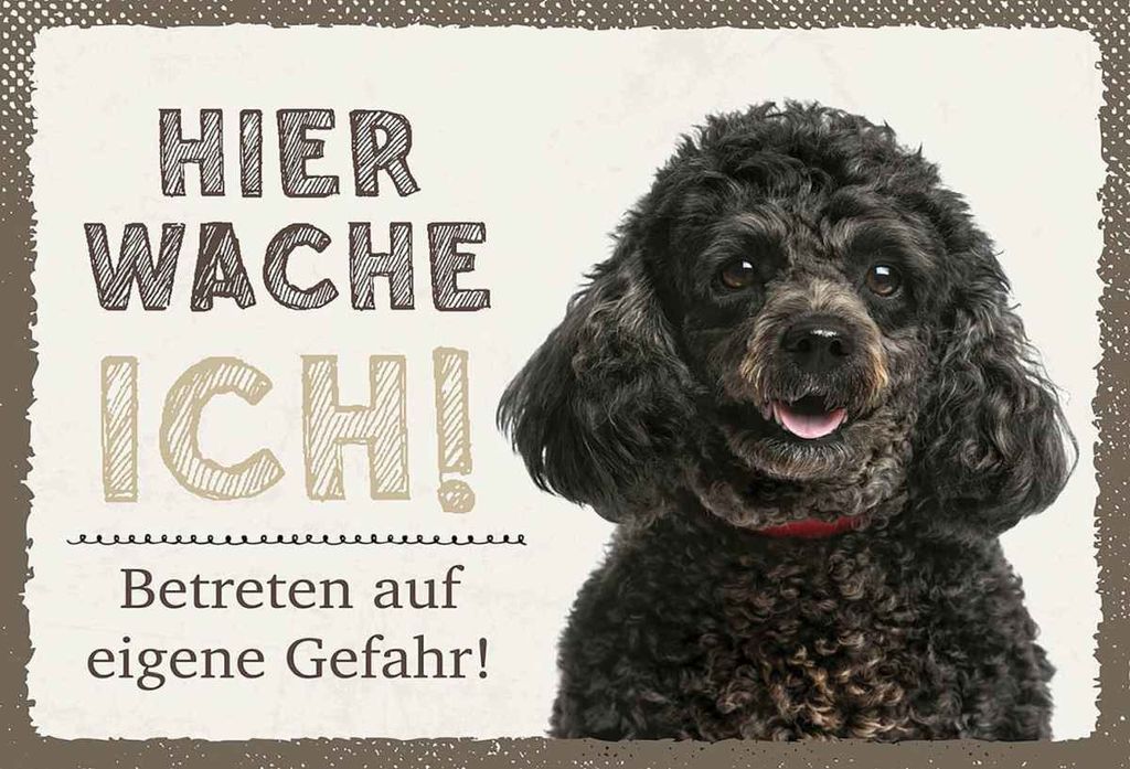 vianmo Holzschild 20x30 cm Pudel hier wache eigene Gefahr
