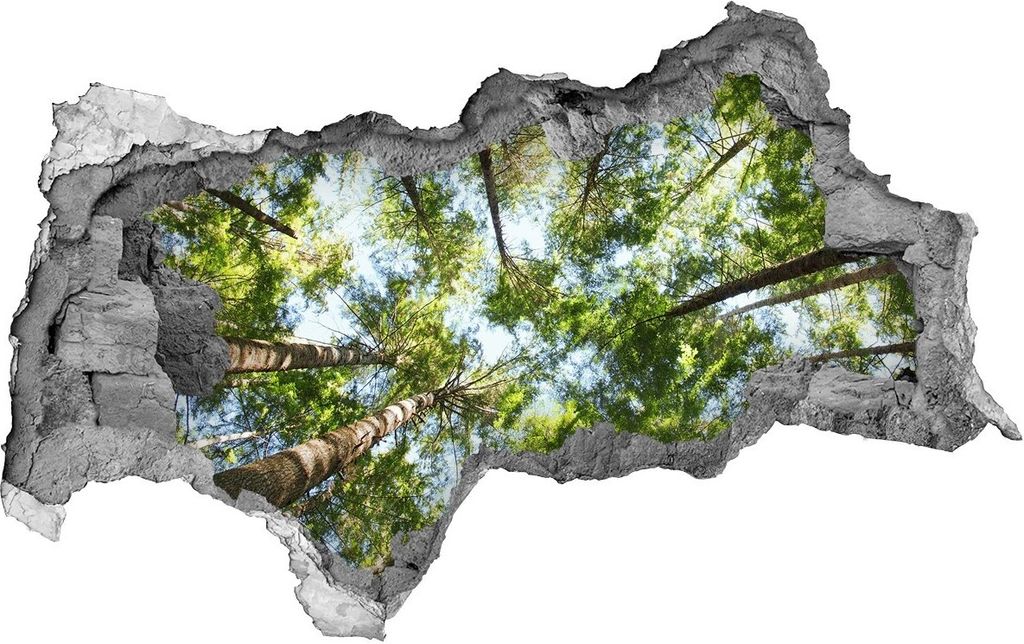 Selbstklebender Loch-3D-Aufkleber 95x73 cm Die oberen Äste eines Baumes