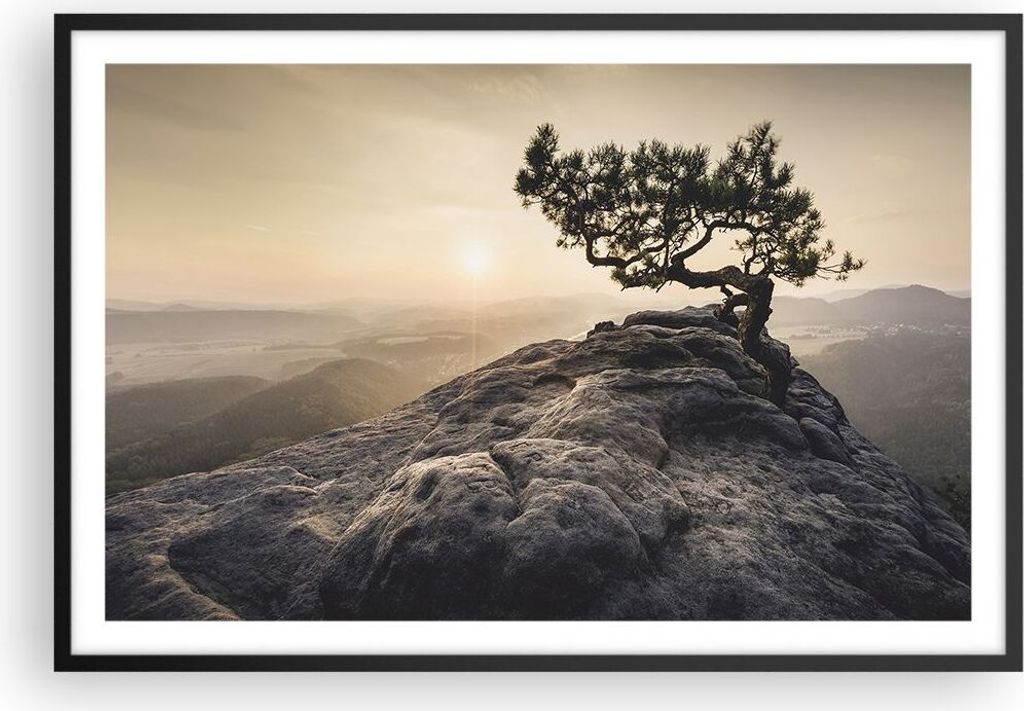 Gerahmtes Poster - Schwarzer Rahmen - Alt Kiefer Berge - 91,5x61 cm - Wand Bild - Wanddeko - Wandbilder - Kunstposter - Wandposter - Bilderrahmen -...