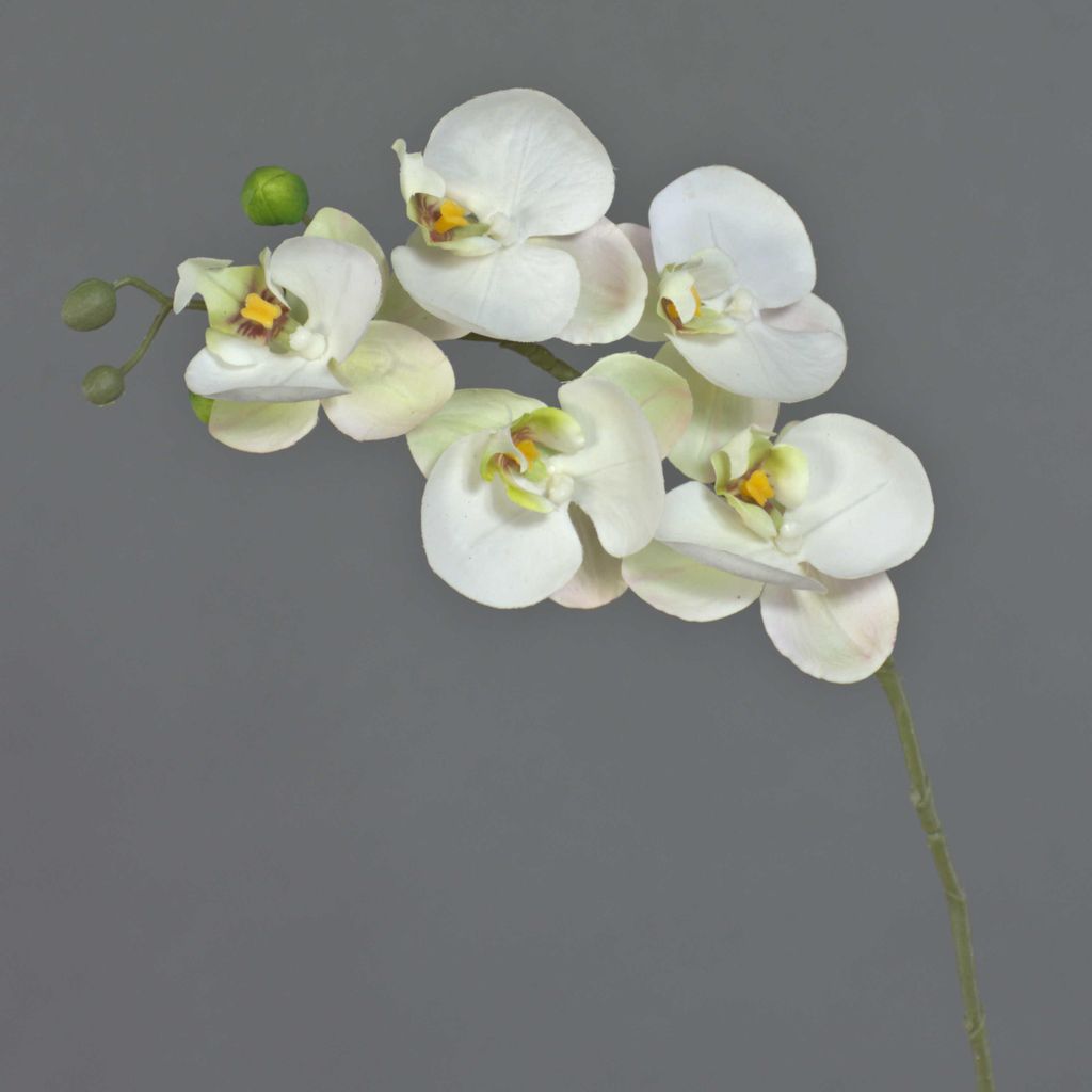 artplants.de Kunstzweig Phalaenopsis Orchidee SONGYA, weiß, 55 cm - Künstliche Stielblume