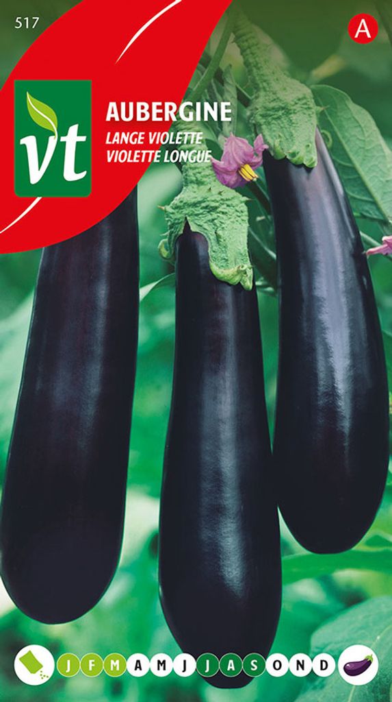 Semená baklažánu Long Violet - približne 1 gr | VT_517 Obrázok produktu 