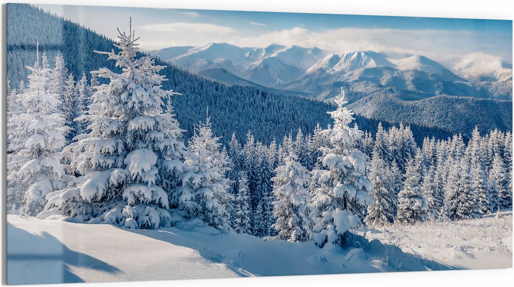 DEQORI Magnettafel Glas 100x50 cm 'Karpatenwinter' beschreibbar Whiteboard Pinnwand Küche