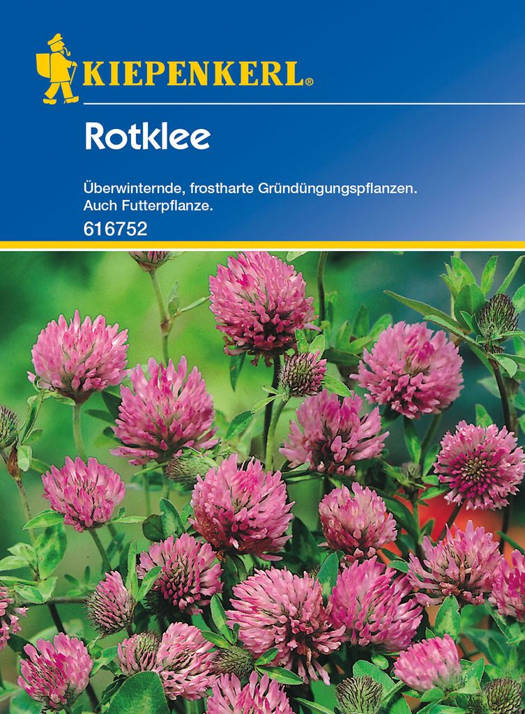 Rotklee Nemaro (60 g) | Gründünger von | Kaufland.de