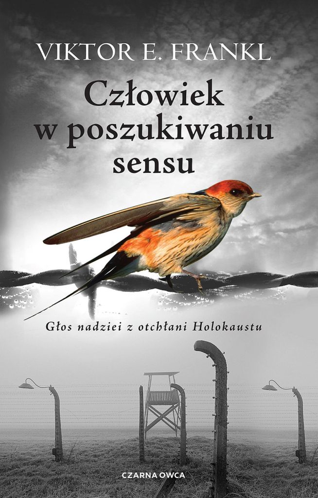 Człowiek w poszukiwaniu sensu Produktbild 