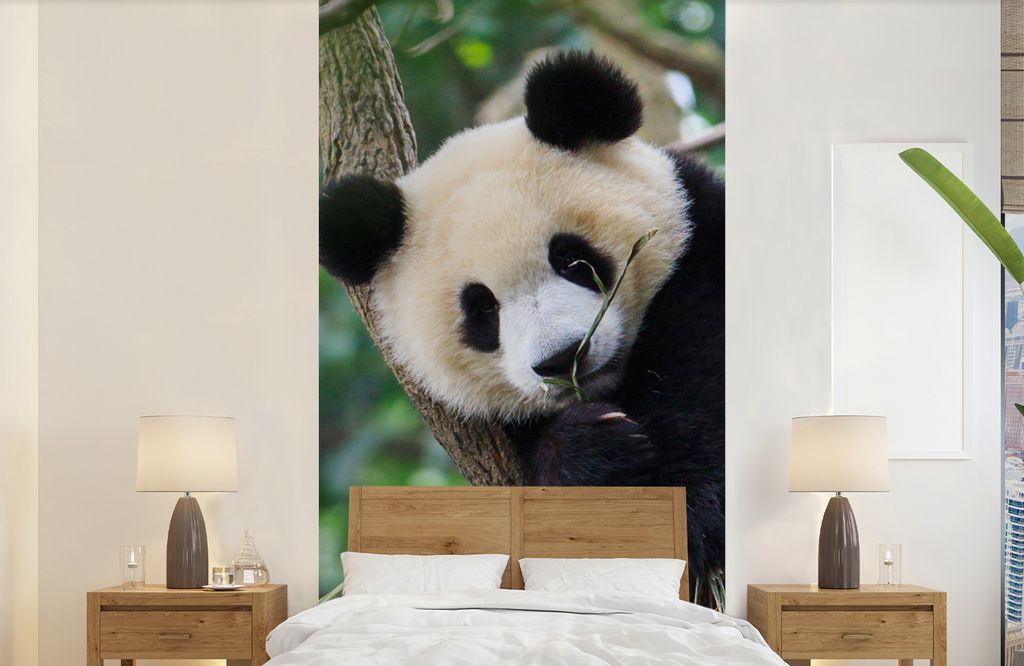 MuchoWow Fototapete für Wohnzimmer oder Schlafzimmer Wandtapete Vinyl Motivtapete Panda - Welpe - Baum - 120x240 cm - Hintergrundbild