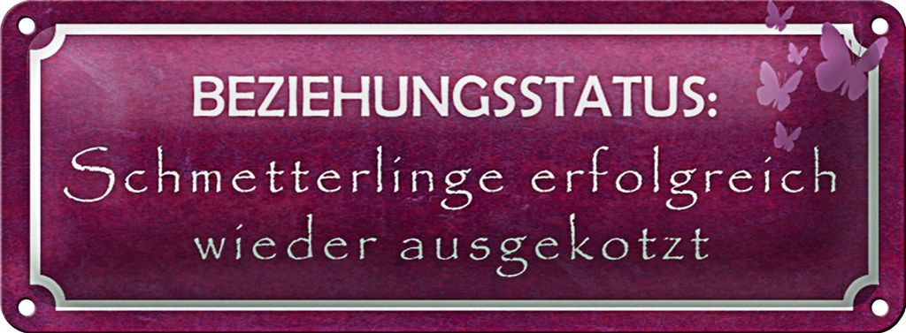 Blechschild Spruch 27x10cm Beziehungsstatus Schmetterlinge Dekoration