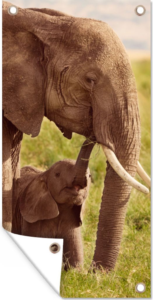 MuchoWow 40x80 cm Outdoor-Poster Gartendeko Sichtschutz Garten Poster für den Garten Elefantenbaby mit seiner Mutter in Kenia