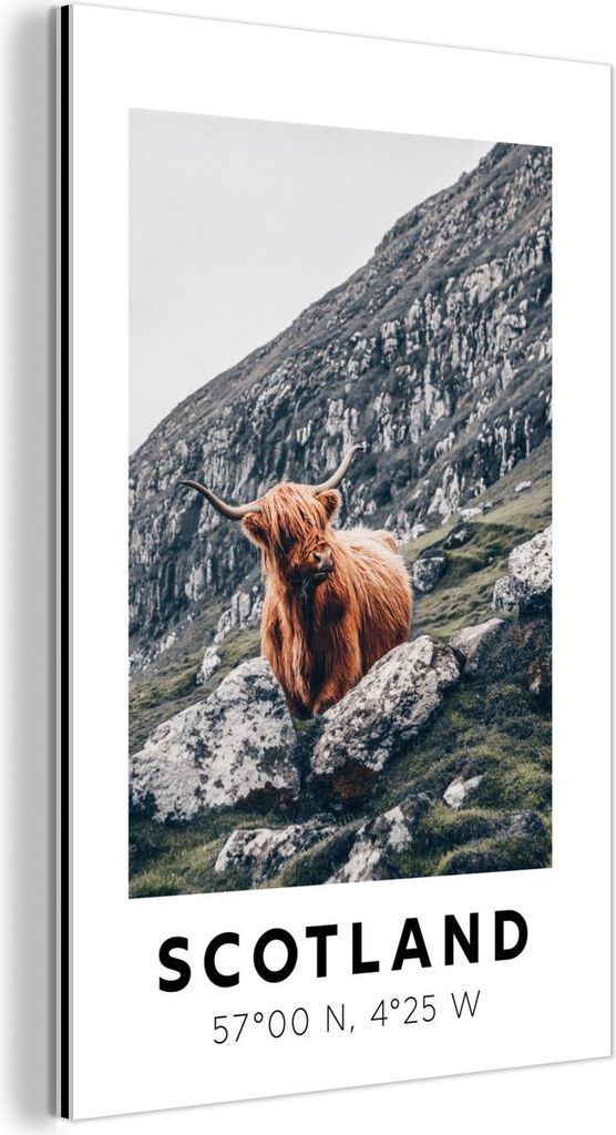MuchoWow Wanddekoration Metall Metallbild Wandkunst 20x30 cm Schottland - Schottische Hochlandrind - Berge MuchoWow Aluminium Gemälde - Alu Dibond...