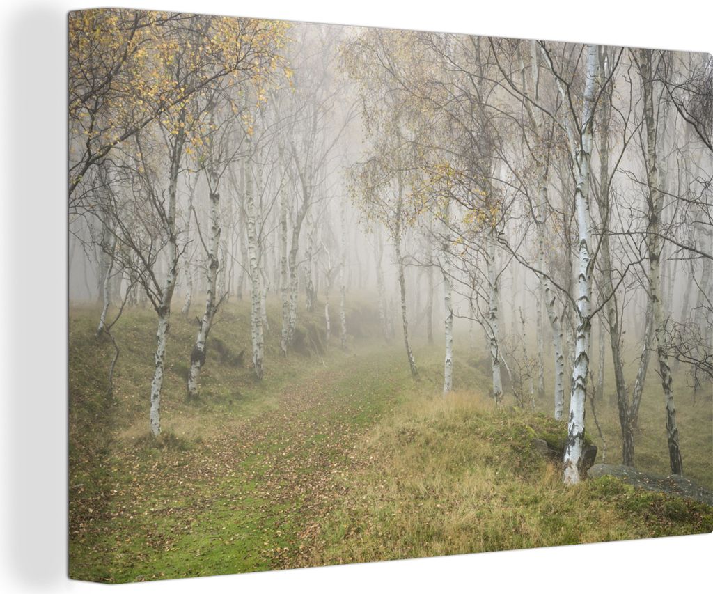OneMillionCanvasses - Leinwandbilder - 140x90 cm, Blick auf mehrere Rotbirken, Wandbilder Kunstdruck Wanddekoration - Foto auf Leinwand - Gemäld...